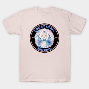 Princess Birthday T-Shirt